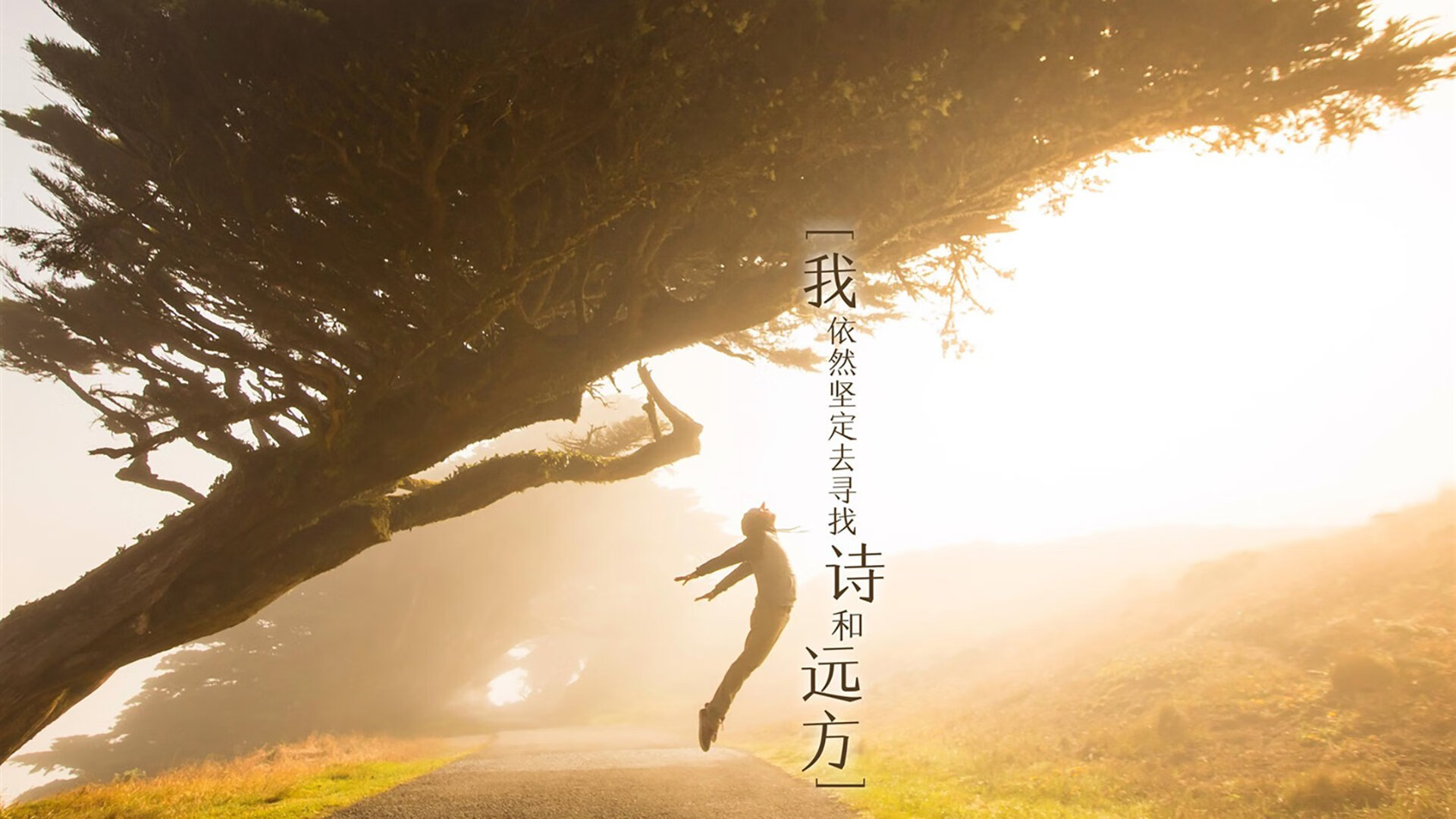 区块链技术在电竞领域的应用：游戏资产数字化与交易透明化，区块链游戏引擎