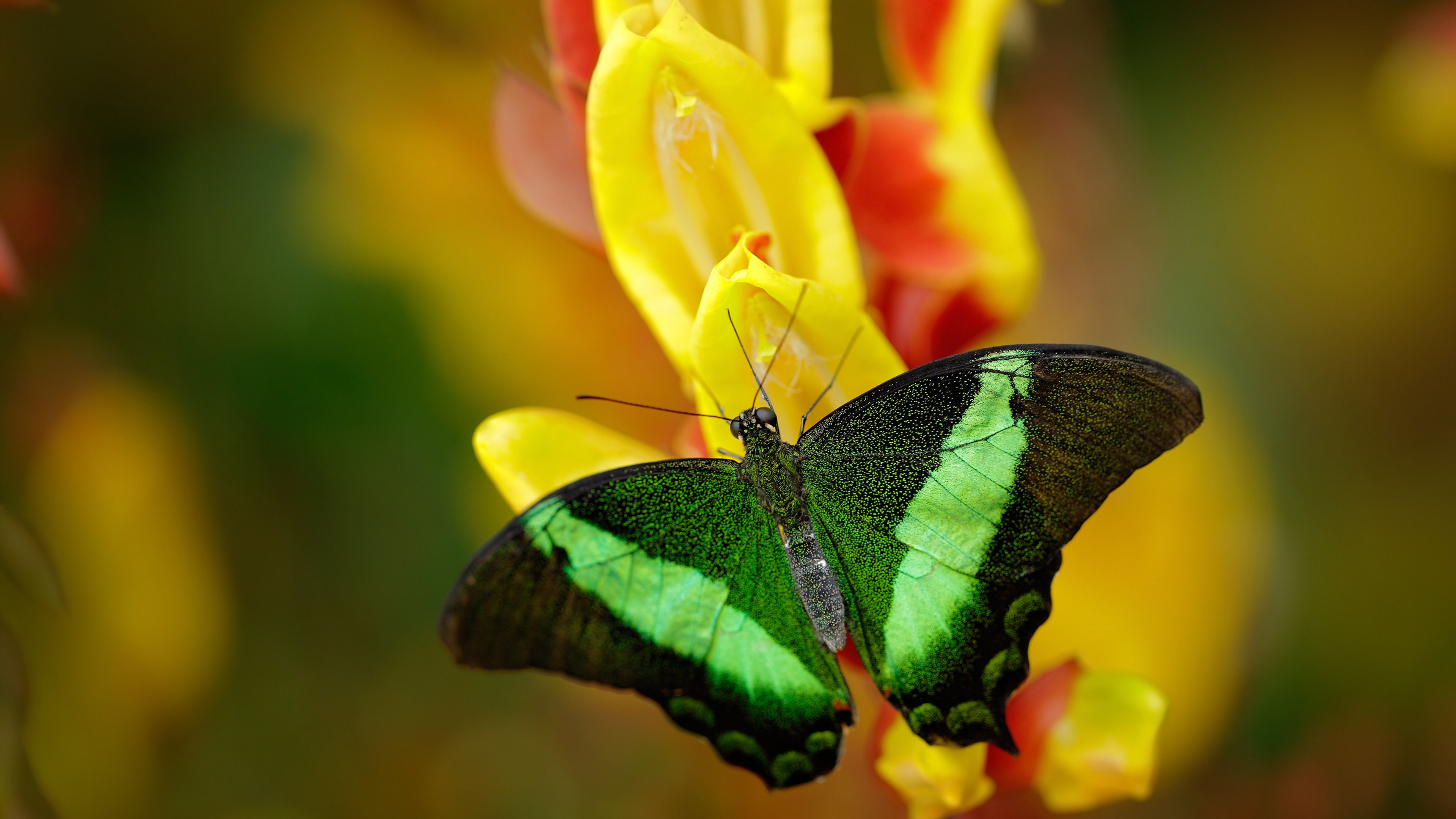 爱游戏官网首页-德甲新战术引领潮流，精彩瞬间不断涌现，德甲新人