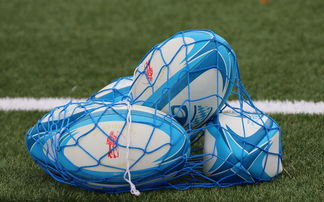 爱游戏娱乐网址-法国橄榄球赛事的票房和赞助收入创历史新高，法国橄榄球国家队